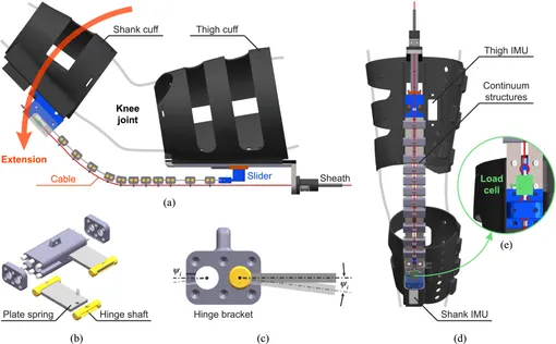 строение подводного экзоскелета строение подводного экзоскелета
