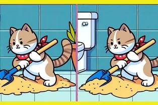 Кот-уборщик: найдите 3 отличия между рисунками Кот-уборщик: найдите 3 отличия между рисунками