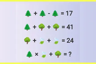 Внимание, ребус: попробуйте решить последний пример