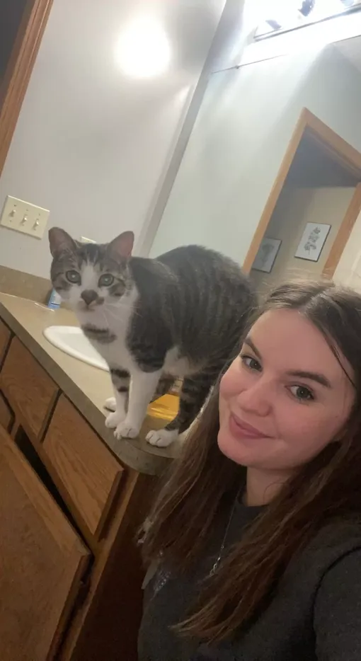 Кот любит играть