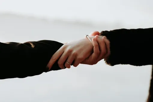 Существуют ли человеческие феромоны Существуют ли человеческие феромоны