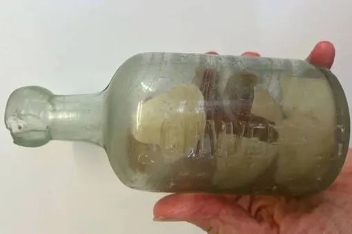 Женщина гуляла по пляжу и нашла бутылку с посланием солдат Первой мировой Женщина гуляла по пляжу и нашла бутылку с посланием солдат Первой мировой