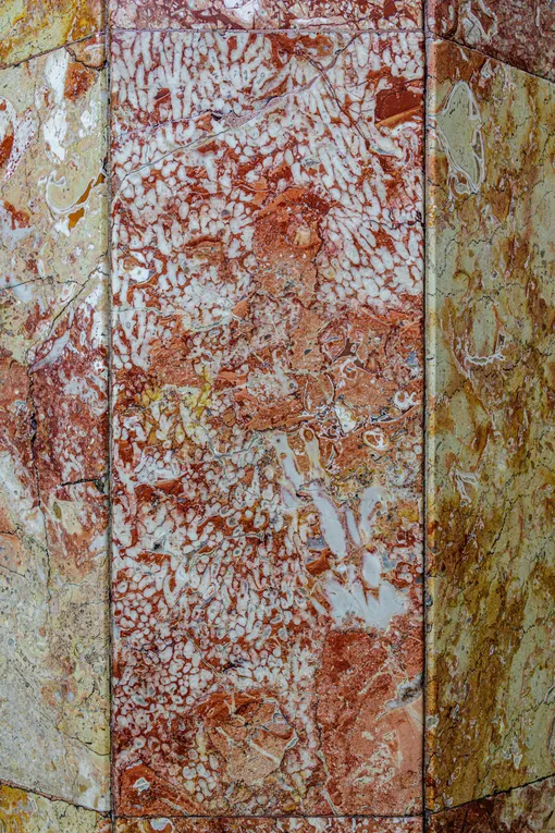 Станция метро «Красносельская». Основной тип находящихся в облицовке окаменелостей — одиночные и колониальные кораллы. Шестилучевые кораллы встречаются в разных разрезах и существуют до сих пор, четырехлучевые вымерли около 250 миллионов лет назад, в конце палеозойской эры Древние кораллы в стенах метро «Красносельская»