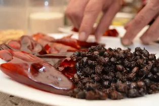 «Вкусные и питательные»: ученые проанализировали вкусовые характеристики съедобных муравьев