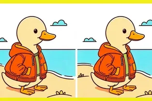 Уточка на пляже: сможете найти 3 отличия между рисунками? Уточка на пляже: сможете найти 3 отличия между рисунками?
