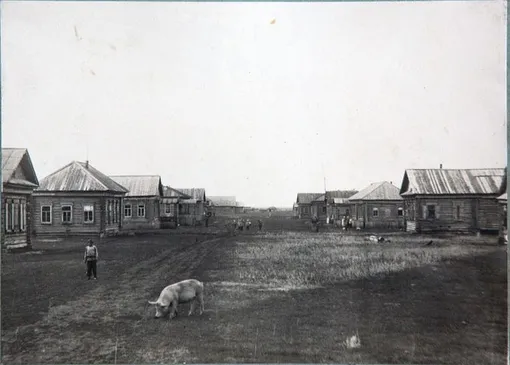 тольятти, лесное, ссср