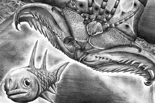 Кровожадный монстр: как выглядел самый жестокий морской червь древнего мира Кровожадный монстр: как выглядел самый жестокий морской червь древнего мира