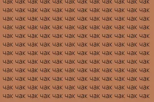 5 секунд на проверку внимательности: найдите слово «чок» на картинке
