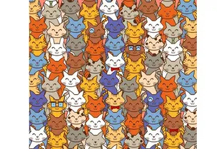 «Прищурьтесь!»: быстрый тест на внимательность для лучших из лучших. Попробуйте пройти его за 1 минуту! «Прищурьтесь!»: быстрый тест на внимательность для лучших из лучших. Попробуйте пройти его за 1 минуту!