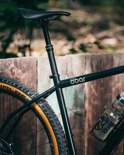 saddle and rear fork bicycle