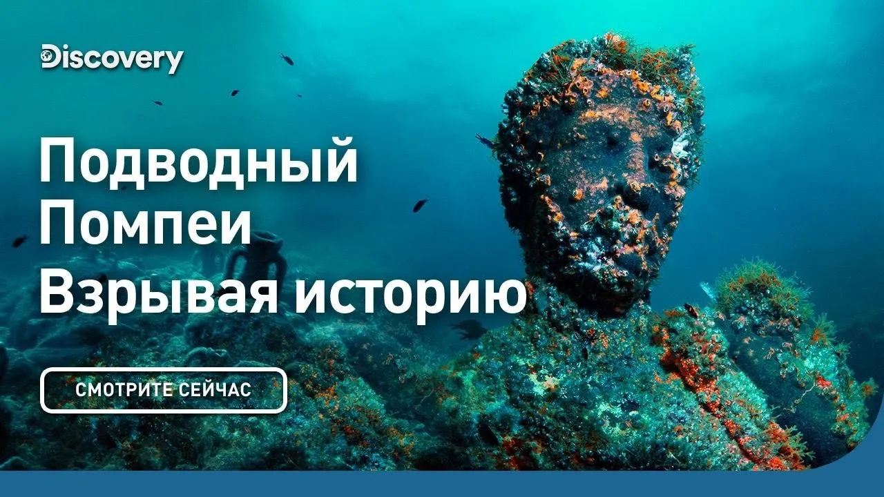Нажми и смотри