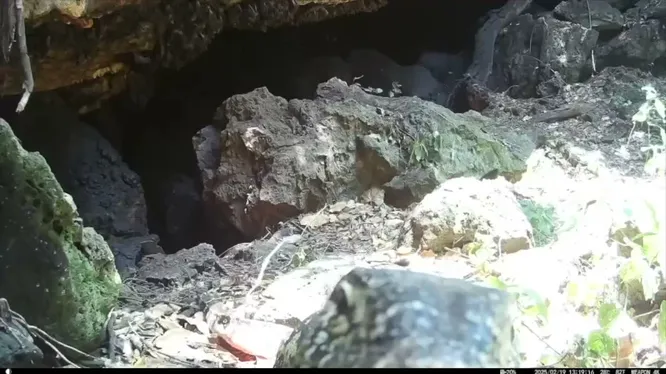 Нажми и смотри