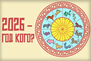 «2026 — год кого?»: как устроен восточный календарь животных «2026 — год кого?»: как устроен восточный календарь животных