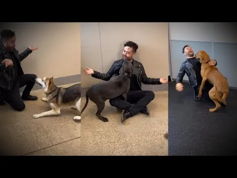 Нажми и смотри Нажми и смотри