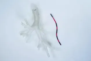 Робот в виде гибкого щупальца проникает в легкие человека