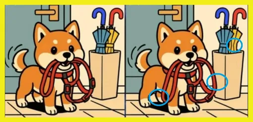 Ответ на головоломку