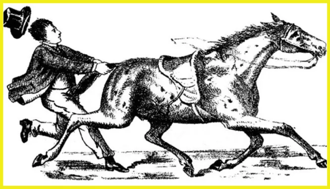 Видите ли вы скрытое лицо наездника? Видите ли вы скрытое лицо наездника?