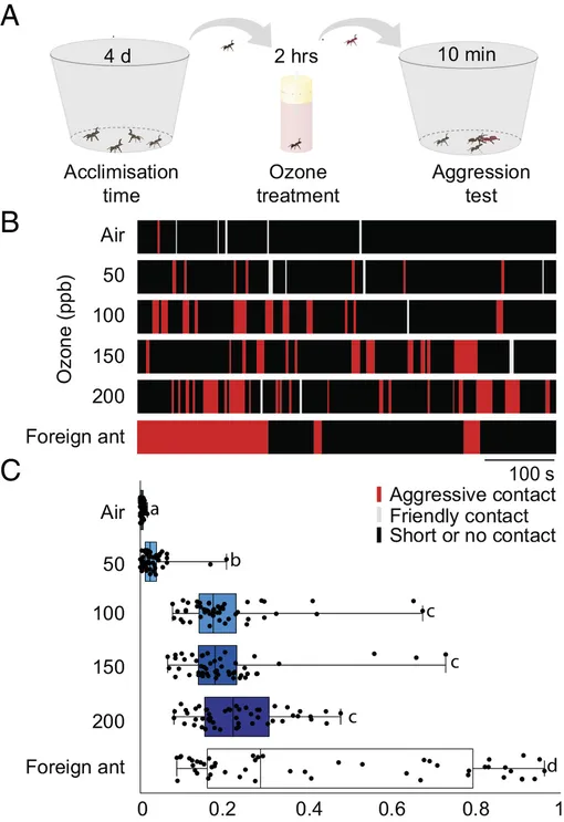 поведение муравьев после воздействия озона