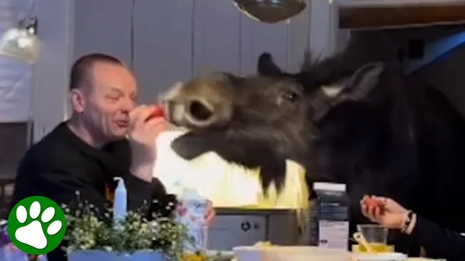 Нажми и смотри