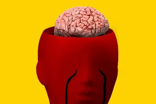 Ученые нашли рецептор, который помогает мозгу очищаться от белковых бляшек Ученые нашли рецептор, который помогает мозгу очищаться от белковых бляшек