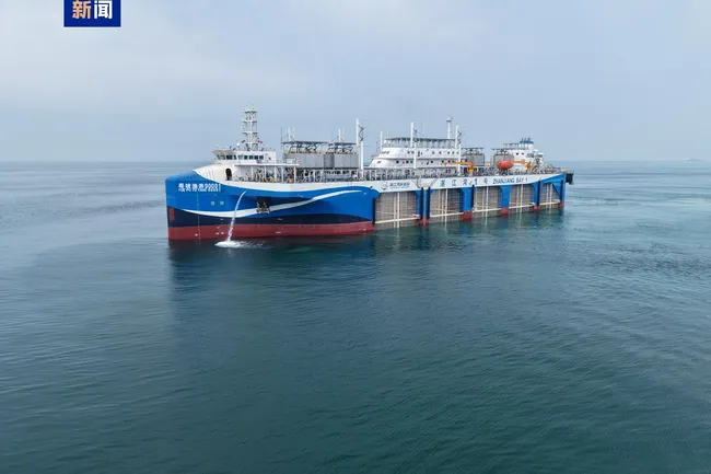 «Да ладно!» Китай подарил рыбам собственный круизный лайнер