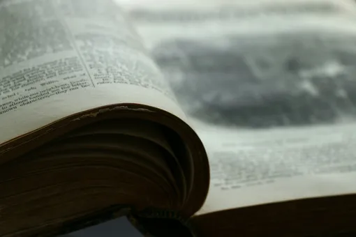 Раскрытая книга Раскрытая книга