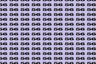 Хотите проверить свою зоркость? Отыщите на картинке число 65