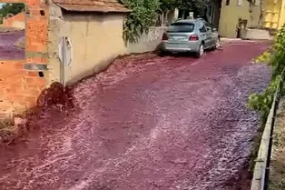 «Кровавая река»! Посмотрите, как поселок в Португалии затопило красным вином