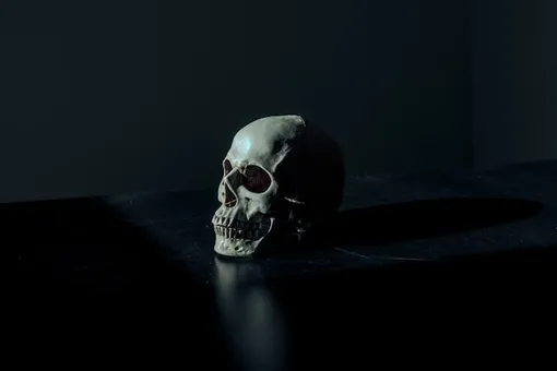 череп череп