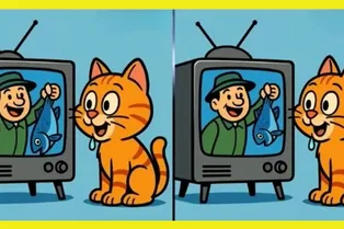Котик смотрит телевизор: найдите 3 отличия между картинками Котик смотрит телевизор: найдите 3 отличия между картинками