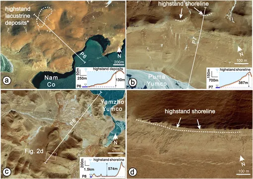 Геоморфологические свидетельства палеобереговых линий и понижения уровня озера. (а) Спутниковый снимок Siwei Earth и топографический профиль самой высокой озерной террасы в Намко, указывающий на понижение уровня озера примерно на 130 м (Zhao et al., 2002, 2003). (b) Спутниковый снимок Google Earth и профиль участка береговой линии высокого уровня на озере Пума Юмко, показывающий понижение уровня воды на ∼387 м. (c, d) Снимок Google Earth и профиль на озере Ямжо Юмко, показывающий понижение уровня воды на ∼574 м. Короткие синие линии обозначают современный уровень озера.
