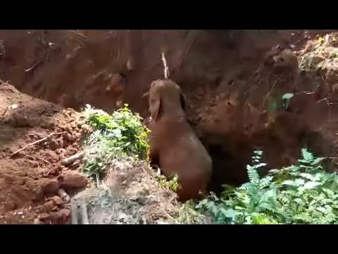Нажми и смотри