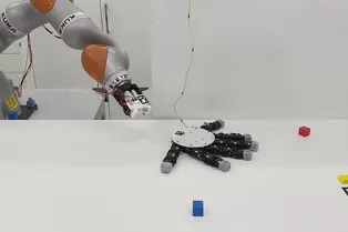 Ученые сделали робота-руку, которая гуляет сама по себе на шести пальцах