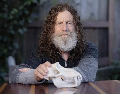 Роберт Сапольски с черепом павиана Роберт Сапольски с черепом павиана