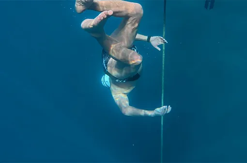 Вальдемар Брудерер