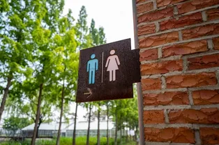 Безопасно ли садится на сидение общественного туалета Безопасно ли садится на сидение общественного туалета