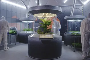 Цианобактерии сделали марсианскую почву плодоносной