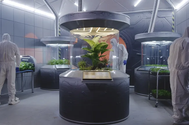 Цианобактерии сделали марсианскую почву плодоносной