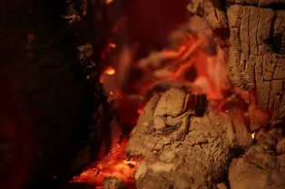 Удивительное зрелище: макросъемка горящего дерева в slow-mo