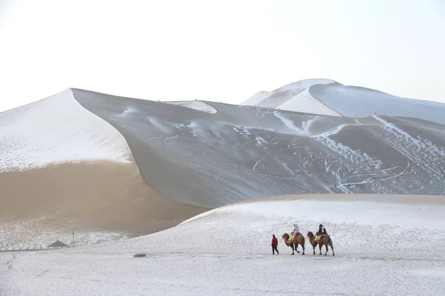 Может ли в пустынях выпасть снег? Ответ вас удивит