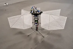 ИИ не нужен: разработан дрон, который ориентируется по свету, как мотылек ИИ не нужен: разработан дрон, который ориентируется по свету, как мотылек