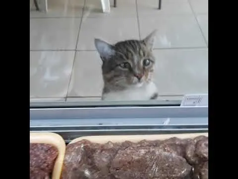 Нажми и смотри