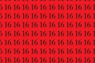Экспресс-проверка внимательности: сможете найти число 61? Экспресс-проверка внимательности: сможете найти число 61?