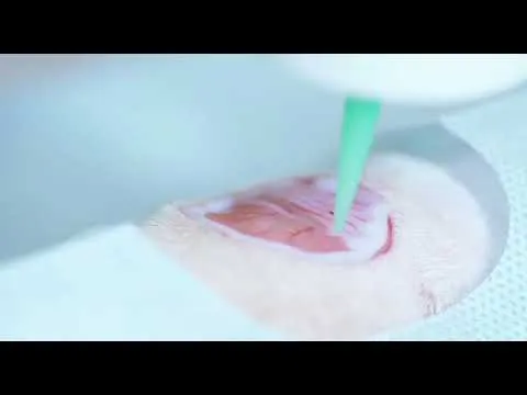 Нажми и смотри