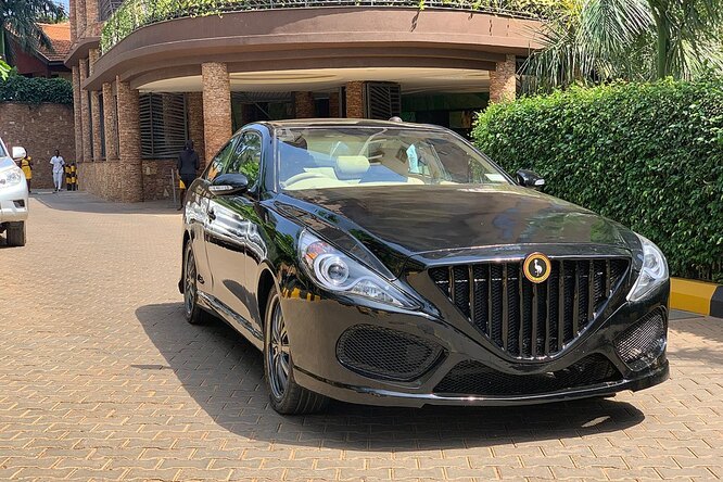 В Россию привезут электромобили из Африки. Серьёзно? Более чем.