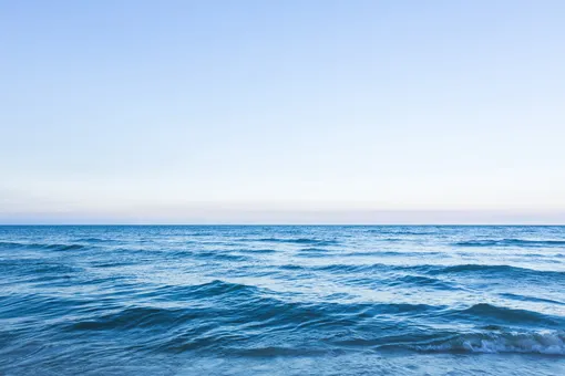 опасные бактерии водятся в море Турции опасные бактерии водятся в море Турции