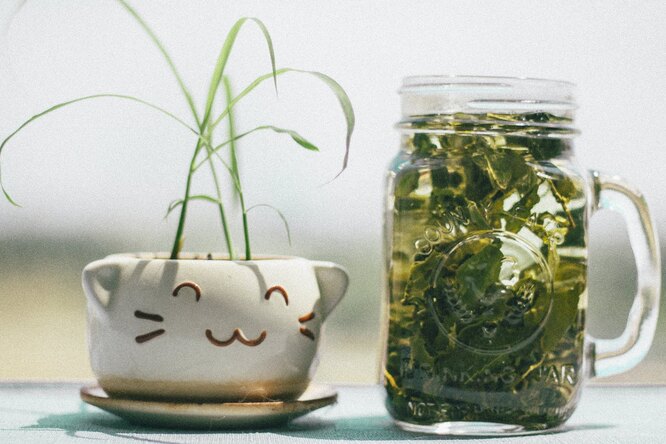 Зеленый чай и кофе снижают риск смерти у больных диабетом Зеленый чай и кофе снижают риск смерти у больных диабетом