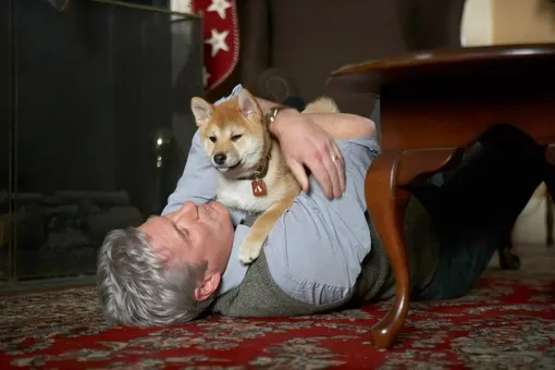 Кадр из фильма «Хатико» Кадр из фильма «Хатико»