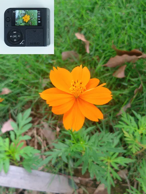 Компактная и недорогая камера с поддержкой 4К