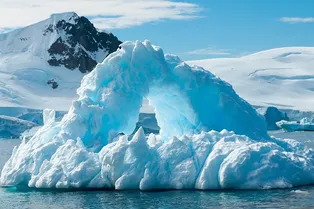 В Антарктике найдены 800-летние мумии пингвинов В Антарктике найдены 800-летние мумии пингвинов